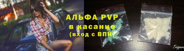 прущие грибы Болохово