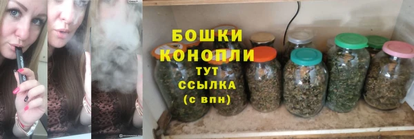 ГАЛЛЮЦИНОГЕННЫЕ ГРИБЫ Алзамай