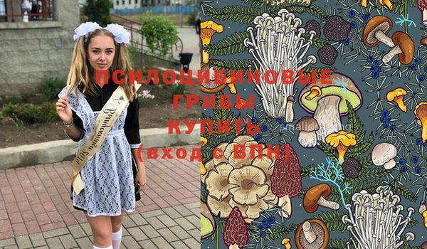 ГАЛЛЮЦИНОГЕННЫЕ ГРИБЫ Алзамай