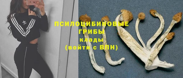 ГАЛЛЮЦИНОГЕННЫЕ ГРИБЫ Алзамай