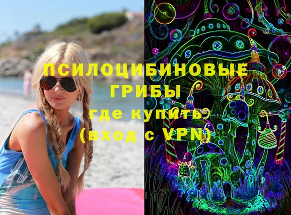 ГАЛЛЮЦИНОГЕННЫЕ ГРИБЫ Алзамай