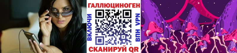 цены   Сосновка  Псилоцибиновые грибы мухоморы 